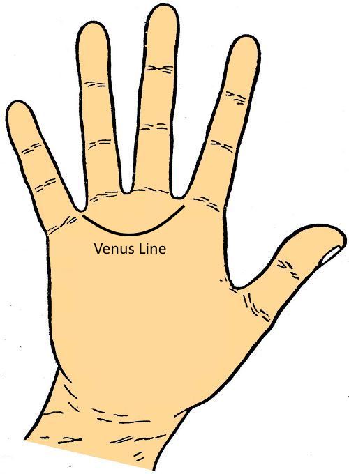 Venus Line - Palminstry
